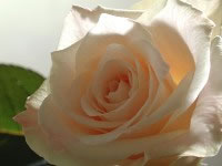 ʹ�����������ѧ���������