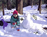 ʹ��������������á��عⲹ�����ķ������㾫����Ƭ