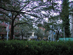 ʹ�������������������һƬ��ڵ�ԭ��(ͼ)